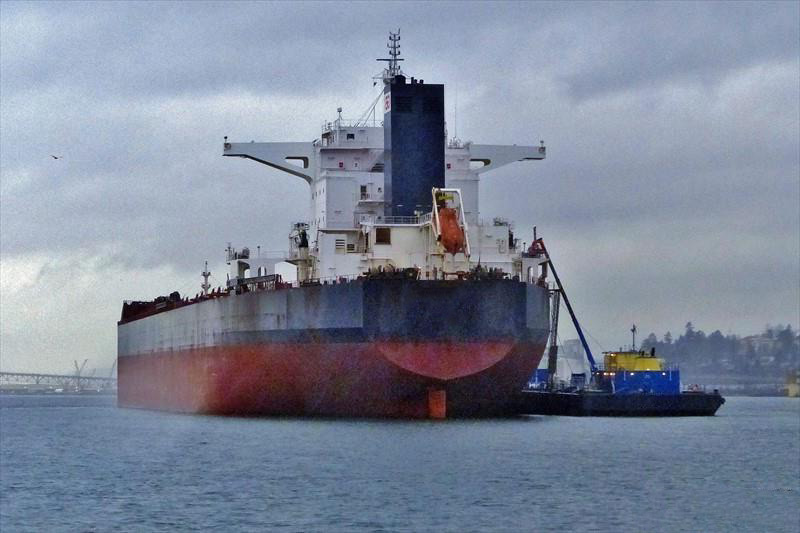 Bulk Carrier Hanjin Heavy Industries PNO53 Bulk Carrier Hanjin Heavy Industries PNO53