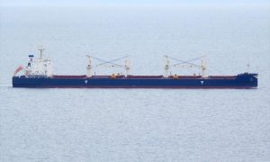 Bulk Carrier JAPAN MARINE YOKOHAMA 5085