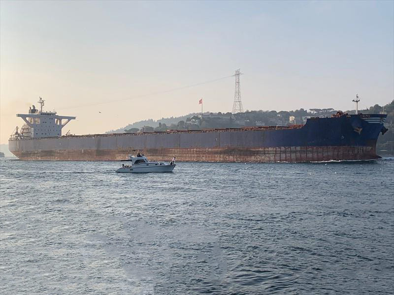Bulk Carrier NAMURA SHIP BUILDING 316 Bulk Carrier NAMURA SHIP BUILDING 316