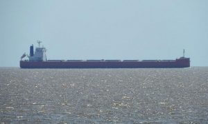Bulk Carrier Sanoyas Shipyard 1354