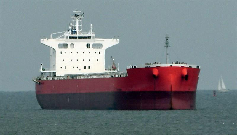 Bulk Carrier Sanoyas Shipyard 1354 Bulk Carrier Sanoyas Shipyard 1354