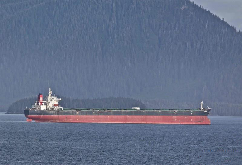 Bulk Carrier SHANGHAI WAIGAOQIAO H1047 Bulk Carrier SHANGHAI WAIGAOQIAO H1047