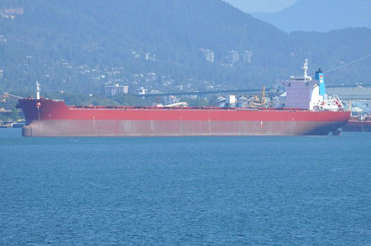 Bulk Carrier SUNGDUNG SHIP BUILDING, KOREA S1111 Bulk Carrier SUNGDUNG SHIP BUILDING, KOREA S1111