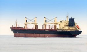 Bulk Carrier TAIZHOU MAPLE LEAF 2012