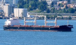 Bulk Carrier Yokohama Shipyard 5083