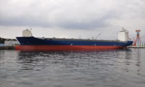 Container ship 2010 dwt 42454